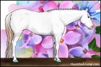 Horse Color:Chestnut Sabino Blanket 