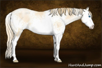 Horse Color:White Spotted Smoky Black Pearl Sabino Splash 