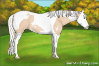 Horse Color:Silver Classic Champagne Dun Sabino Splash Tobiano