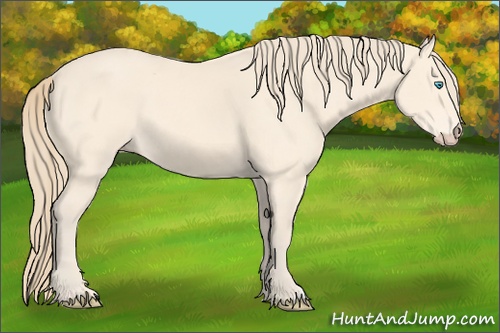 Horse Color: Perlino 