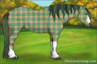 Horse Color:Plaid  Bay Rabicano 