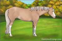 Horse Color:White Spotted Silver Sable Champagne
