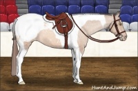 Horse Color:Sable Champagne Tobiano Snowcap 