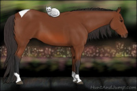 Horse Color:Bay Tobiano 