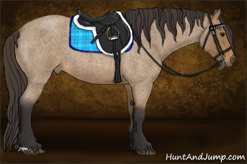 Horse Color:Buckskin Roan 