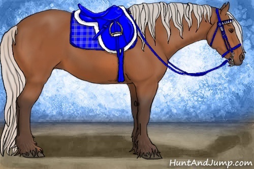 Horse Color:Silver Bay