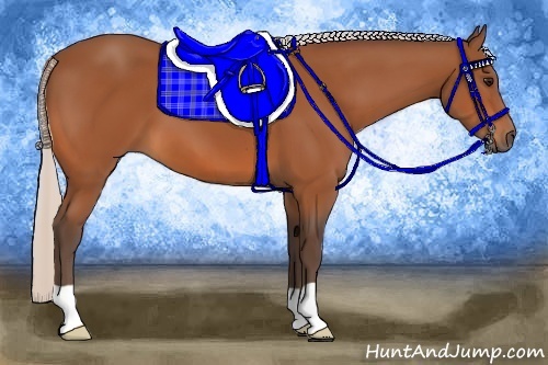 Horse Color:Silver Bay