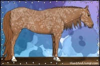 Horse Color:Chestnut Ice 