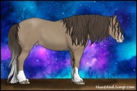 Horse Color:Classic Champagne Splash 