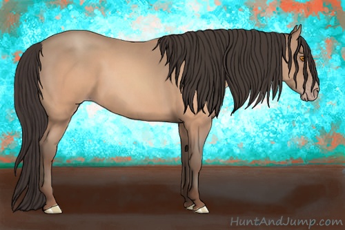 Horse Color:Sable Champagne 