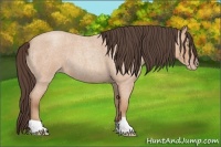 Horse Color:Amber Champagne Roan 