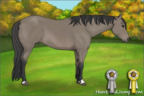 Horse Color: Black Sabino 