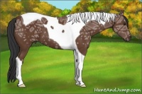 Horse Color:Bay Ice Tobiano 