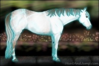 Horse Color:Gray Thunderstruck Chestnut 