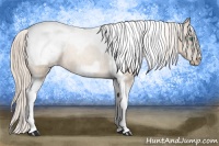 Horse Color:Chocolate Palomino Pearl Tobiano Frame Appaloosa 