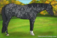 Horse Color:Black Ice 