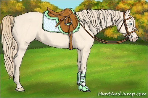 Horse Color:Perlino
