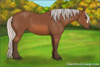 Horse Color:Silver Bay 