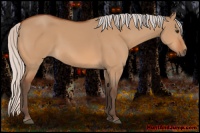 Horse Color:Silver Bay Dun 