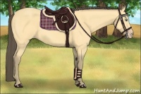 Horse Color:Amber Cream Champagne 
