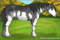 Horse Color:Brown Splash 