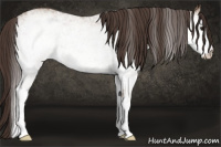 Horse Color:White Spotted Classic Champagne 