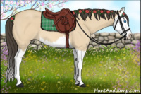 Horse Color:Buckskin Dun Splash