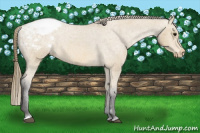 Horse Color:Buckskin Snowcap 