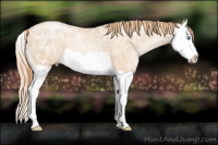 Horse Color:Gold Champagne Ice Pearl Splash