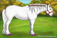 Horse Color:Gray Palomino 