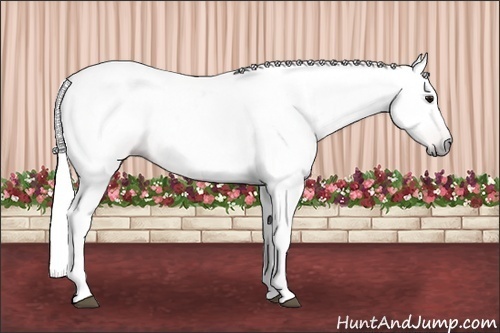 Horse Color:Gray Bay 