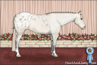Horse Color:Buckskin Blanket 