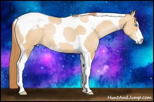 Horse Color: Buckskin Pearl Sabino Tobiano 