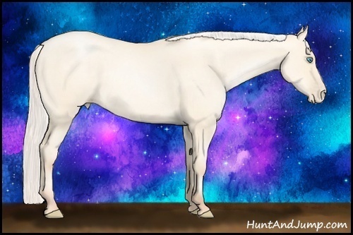 Horse Color: Silver Classic Cream Champagne Pearl Dun 