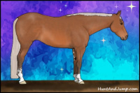 Horse Color:Silver Bay Sabino