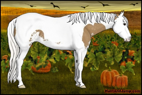 Horse Color: Silver Smoky Black Sabino Splash Tobiano 
