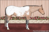Horse Color:Bay Snowcap 
