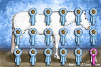 Horse Color:Bay Roan Dun Splash Appaloosa