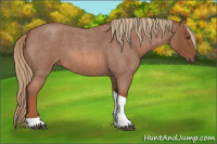 Horse Color:Red Roan Tobiano 