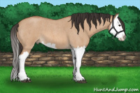 Horse Color:Bay Roan Dun Splash 