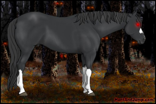 Horse Color: Black 