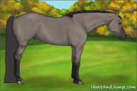 Horse Color:Smoky Grullo 