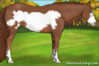 Horse Color:Liver Chestnut Frame 