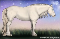 Horse Color:Perlino 
