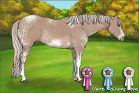 Horse Color:Silver Brown Ice Dun Sabino Splash Tobiano Frame 