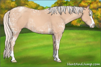 Horse Color:Silver Amber Champagne Ice Sabino Splash 
