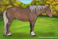 Horse Color:Silver Black Sabino 
