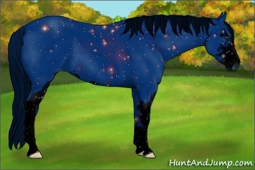 Horse Color: ERROR: UNKNOWN ANOMALY