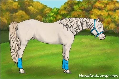 Horse Color:Smoky Creme 