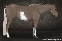 Horse Color:White Spotted Silver Black